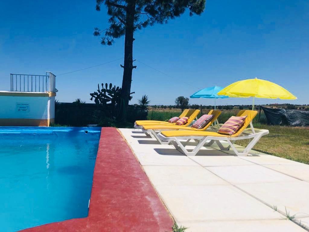 Monte Ramos Guest House Ferreira Do Alentejo Exterior photo