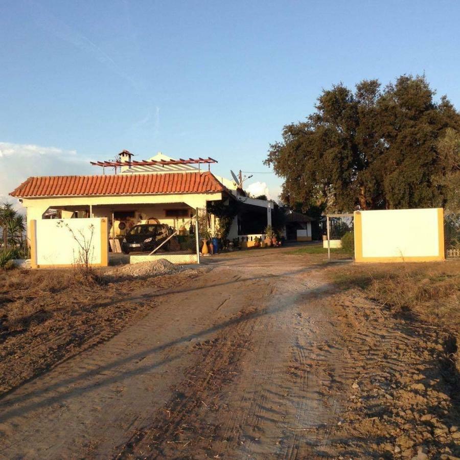 Monte Ramos Guest House Ferreira Do Alentejo Exterior photo